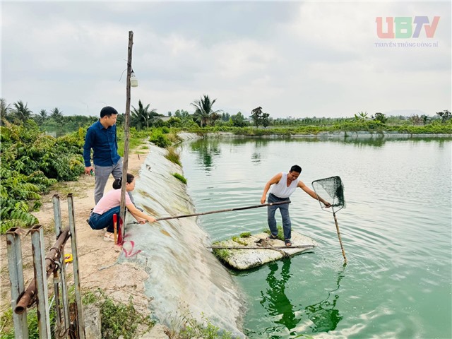 Rà soát đánh giá hiện trạng sử dụng đất trong phạm vi thực hiện  Dự án Tuyến đường sắt tốc độ cao Hà Nội - uu888 one